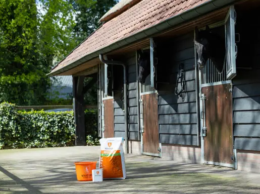 Oranje Masters emmer, Masters voerschep en Masters voerzak bij een paardenstal
